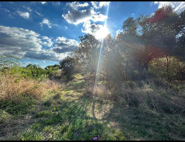 FARM FOR SALE IN SCHURVEBERG AH
